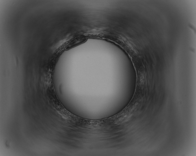 X0000093391350200710191145