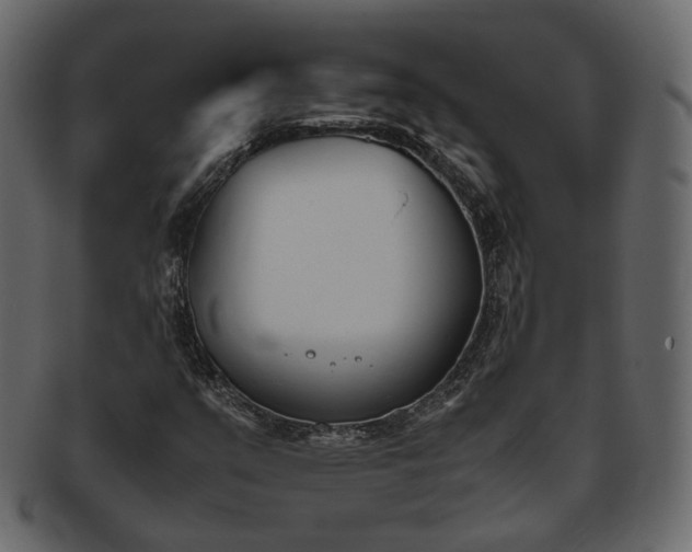 X0000093391351200710191145