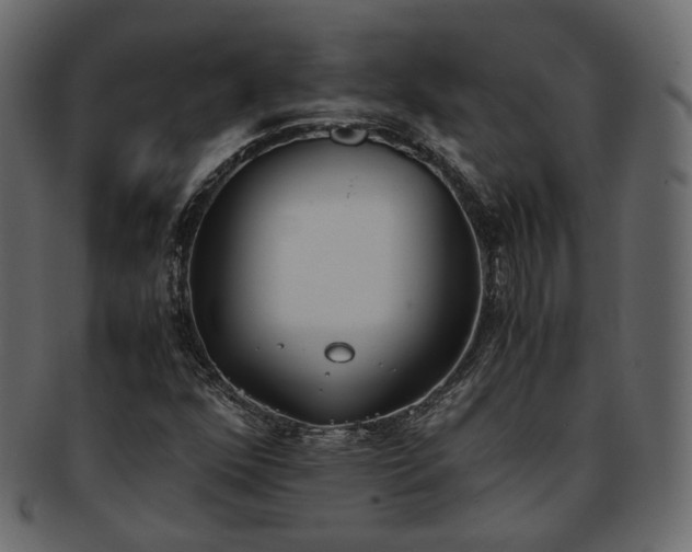 X0000093391352200710191145