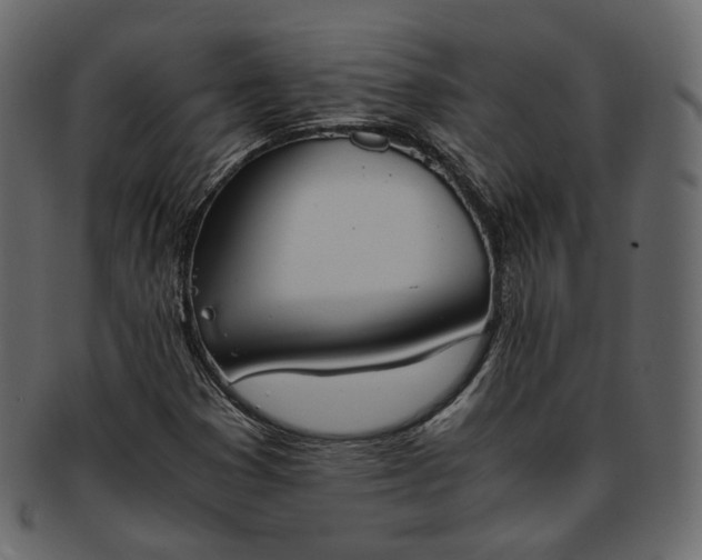 X0000093391353200710191145