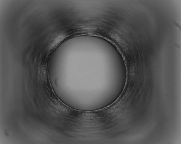 X0000093391354200710191145