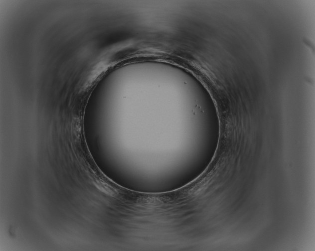 X0000093391355200710191145