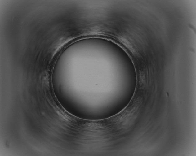 X0000093391356200710191145