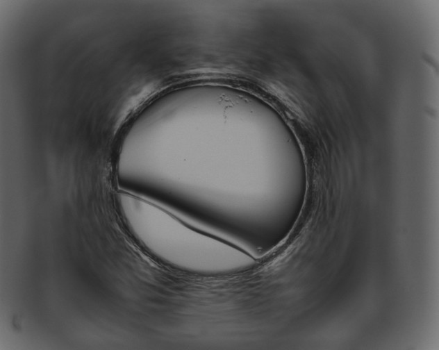 X0000093391357200710191145