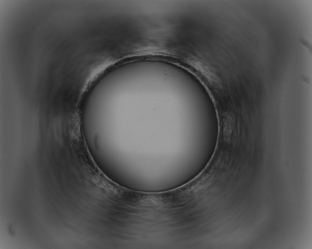 X0000093391358200710191145