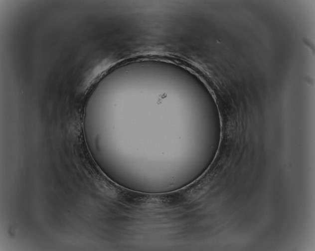 X0000093391359200710191145