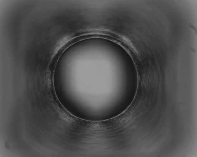 X0000093391360200710191145