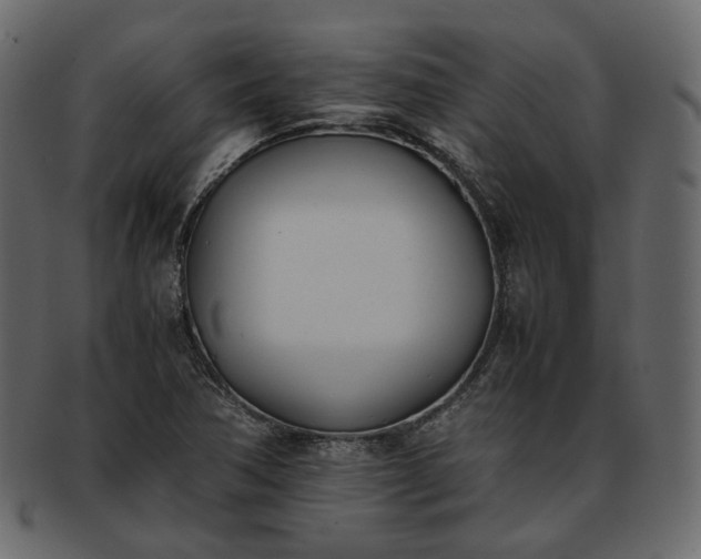 X0000093391362200710191145