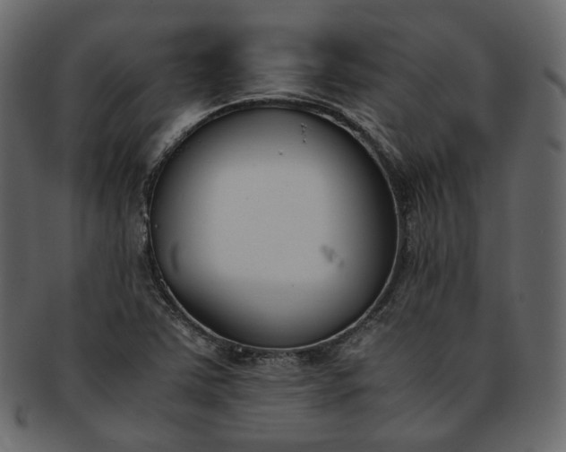 X0000093391363200710191145