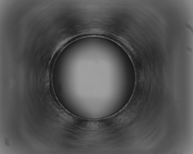 X0000093391364200710191145