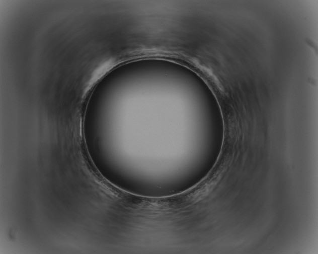 X0000093391365200710191145