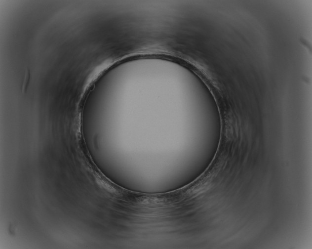 X0000093391366200710191145