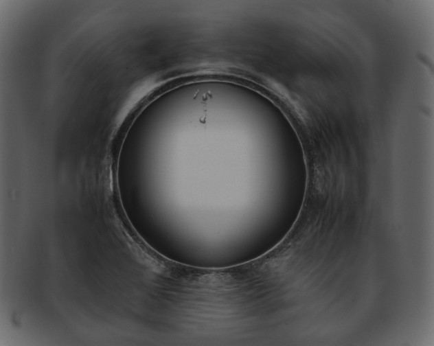 X0000093391368200710191145