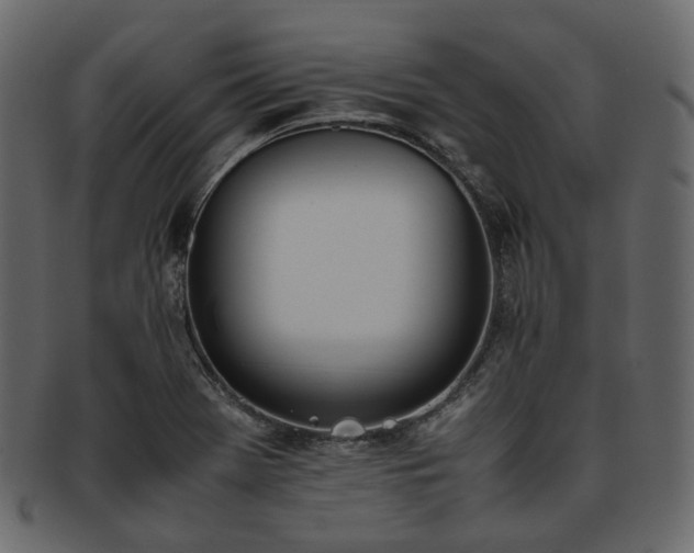 X0000093391369200710191145