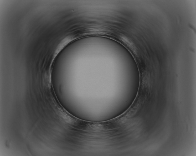 X0000093391370200710191145