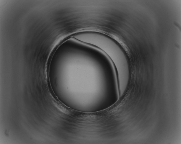 X0000093391372200710191145