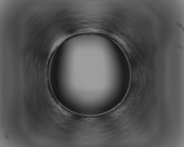 X0000093391373200710191145