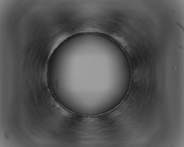 X0000093391374200710191145