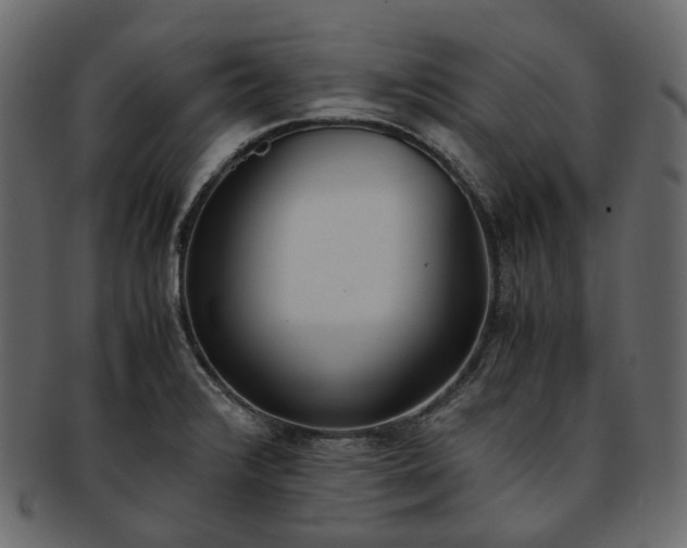 X0000093391376200710191145