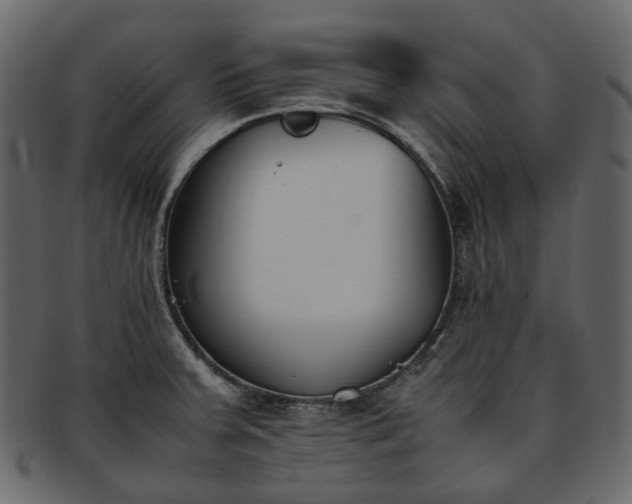 X0000093391379200710191145