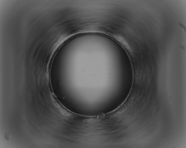 X0000093391380200710191145