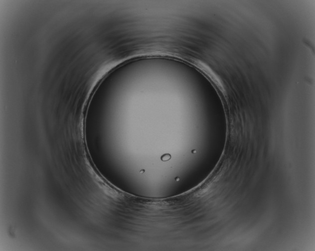 X0000093391388200710191145