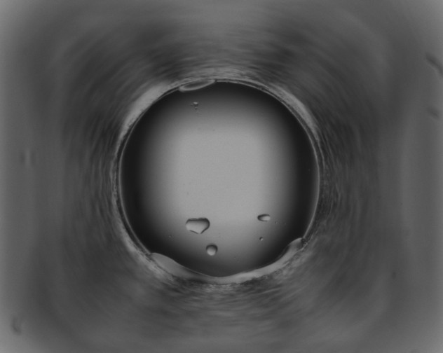 X0000093391389200710191145