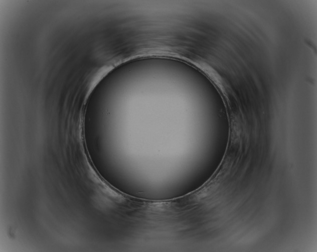 X0000093391390200710191145