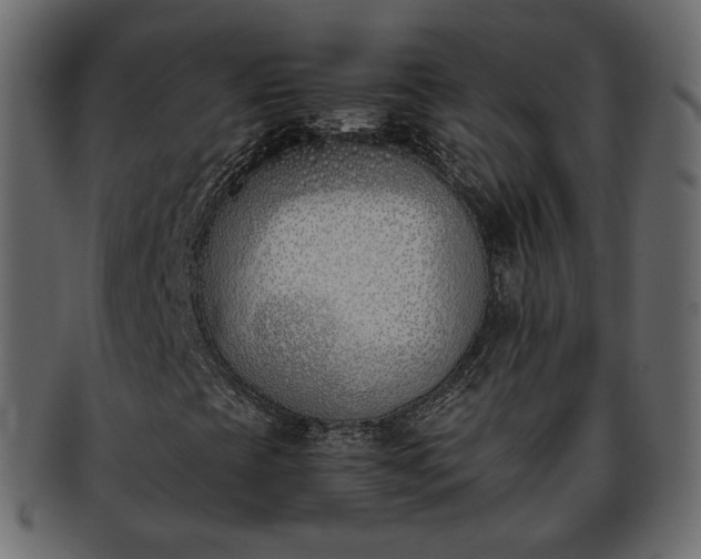 X0000093391393200710191144