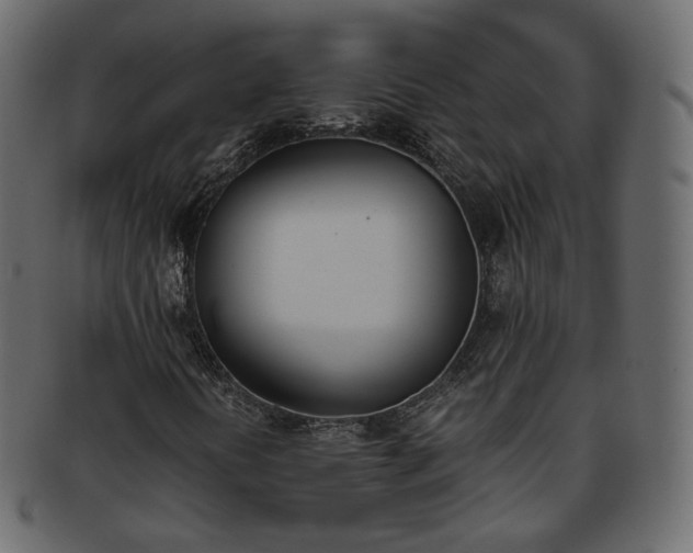 X0000093391394200710191144