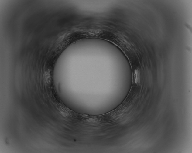 X0000093391395200710191144