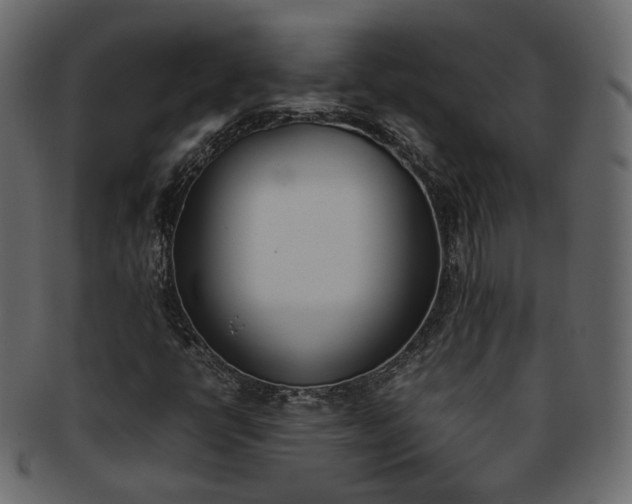 X0000093391398200710191144