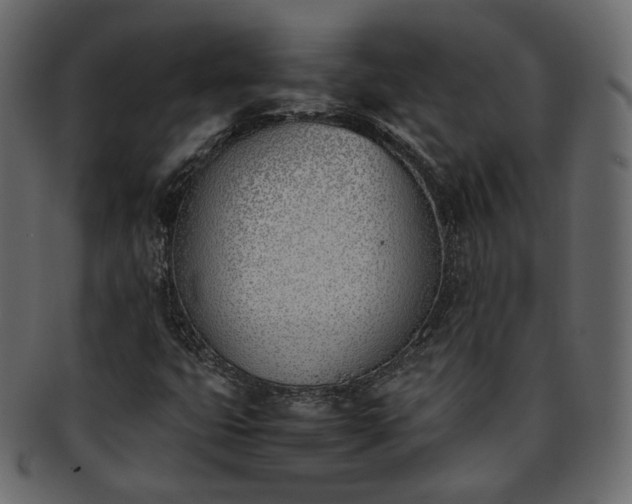 X0000093391399200710191144