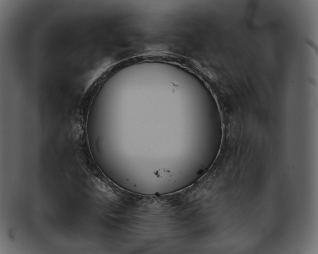 X0000093391400200710191144