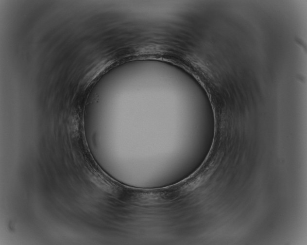 X0000093391401200710191144