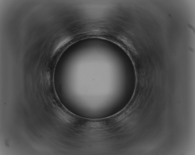 X0000093391402200710191144