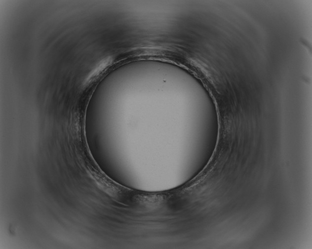 X0000093391403200710191144