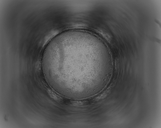 X0000093391405200710191144