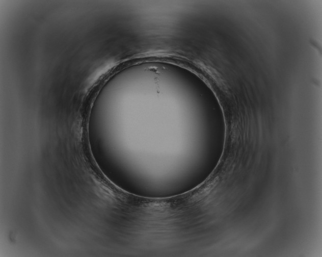 X0000093391406200710191144