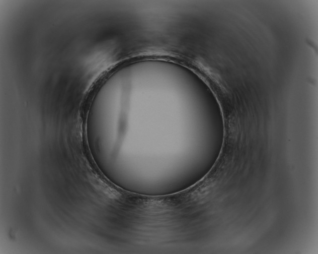 X0000093391408200710191145