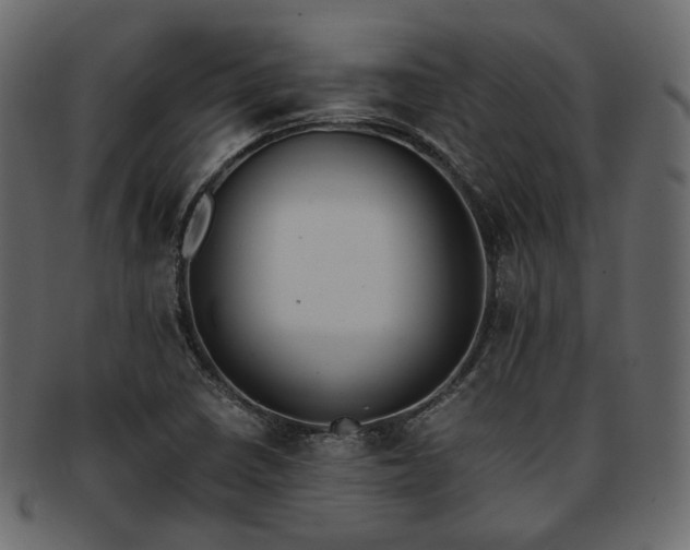 X0000093391410200710191145