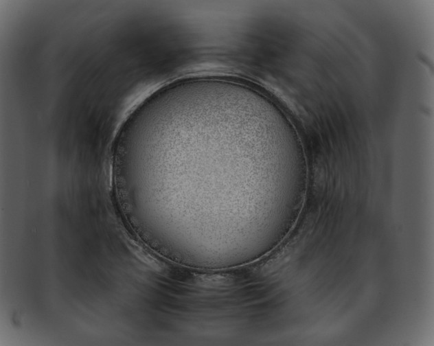 X0000093391413200710191145