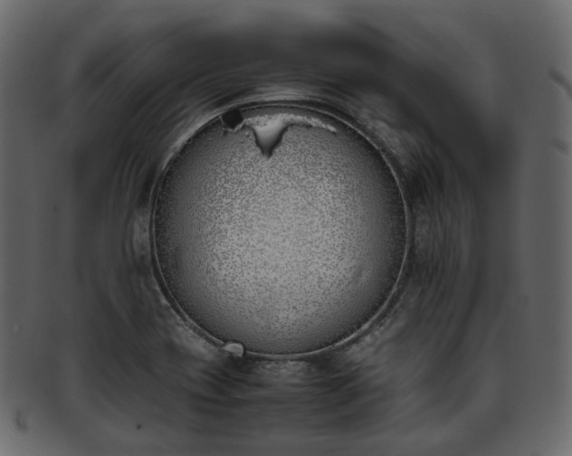 X0000093391417200710191145