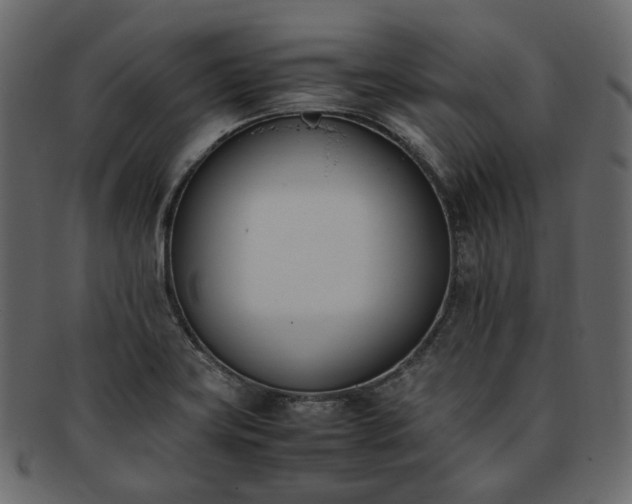 X0000093391419200710191145