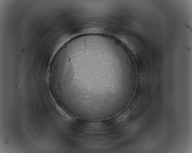 X0000093391421200710191145