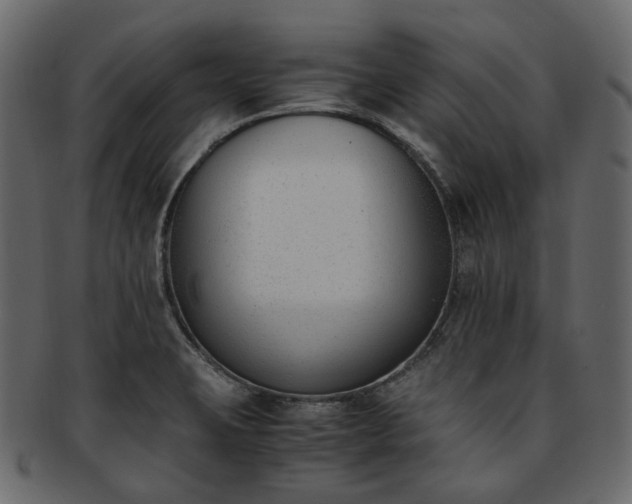 X0000093391423200710191145