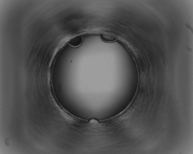 X0000093391424200710191145