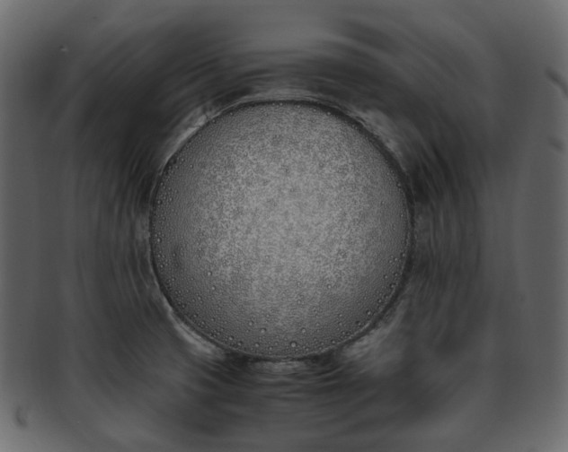 X0000093391425200710191145