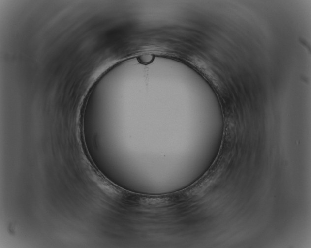 X0000093391427200710191145