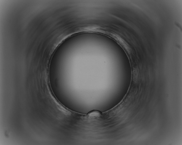 X0000093391432200710191145